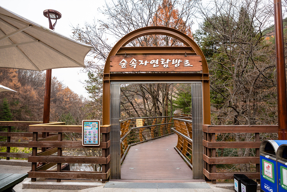 가을명소 만인산 휴양림(2019-11-27)